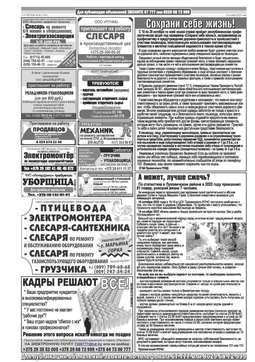 Газета «Регион» № 83 от 19 октября 2022 года — Регион